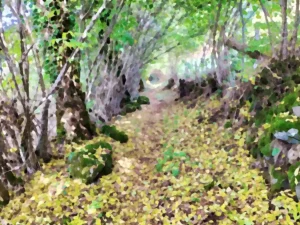 Chemin de Rouffiac à Velzic