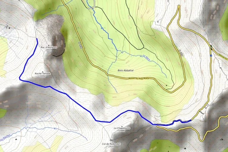 Itinéraire de retour vers l'arrêt Roche Noire (ligne du volcan n°1)