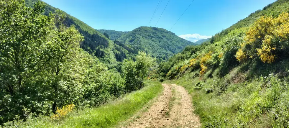 Sur la piste descendant du château d'Aurouze vers la RN 122