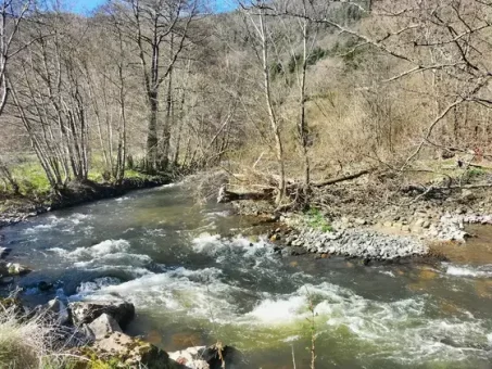 L'Alagnon près de la passerelle du camping