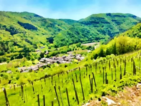 Depuis la cabane, les vignes et le village de Molompize