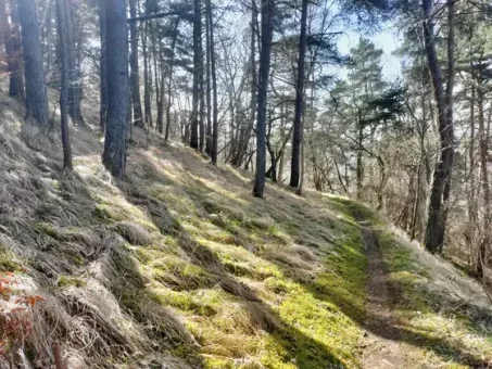Ambiance presque méditerranéenne