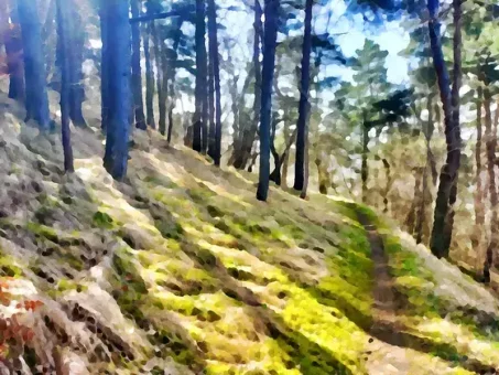 Ambiance presque méditerranéenne