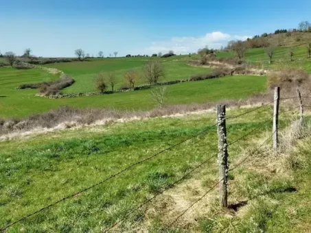 Paysage de planèze en arrivant à Mallet
