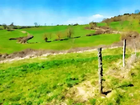 Paysage de planèze en arrivant à Mallet