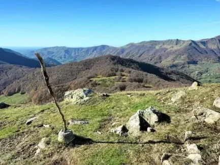 Vallée de la Jordanne vue depuis le puy d'En Joubert