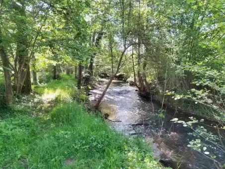 Rives de l'Arcueil au printemps