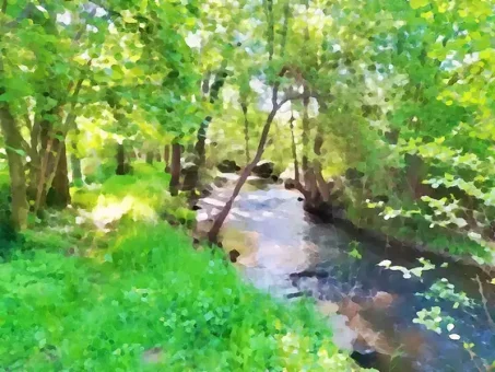 Rives de l'Arcueil au printemps