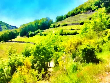 Paysage des palhàs