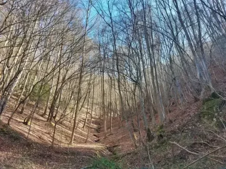 Un vallon parmi bien d'autres, à la fin de l'hiver