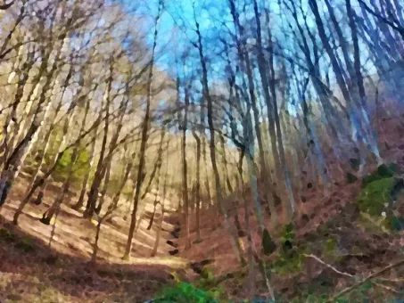 Un vallon parmi bien d'autres, à la fin de l'hiver