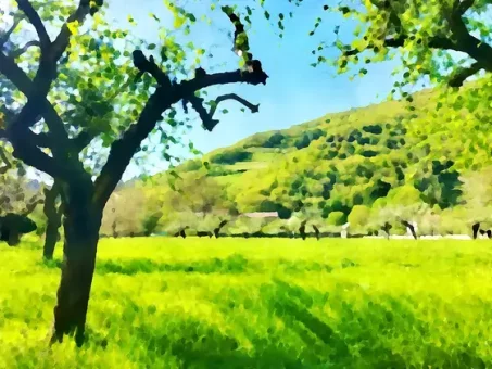 Au loin, entre les arbres, apparaissent les palhàs